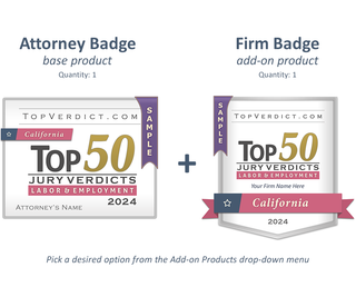 Top 50 Labor & Employment Verdicts in California in 2024