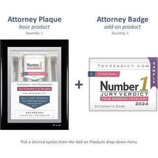 Number 1 Verdicts in the United States in 2024