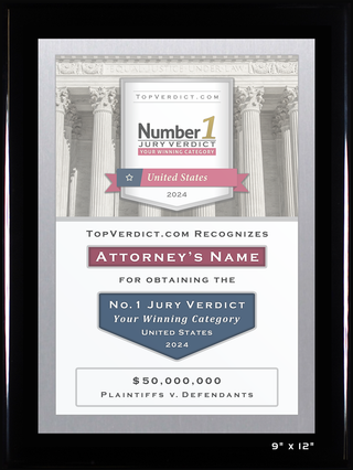 Number 1 Verdicts in the United States in 2024