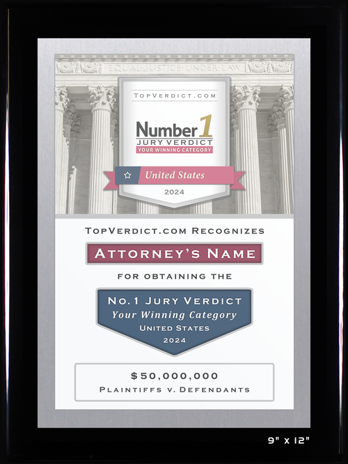 Number 1 Verdicts in the United States in 2024