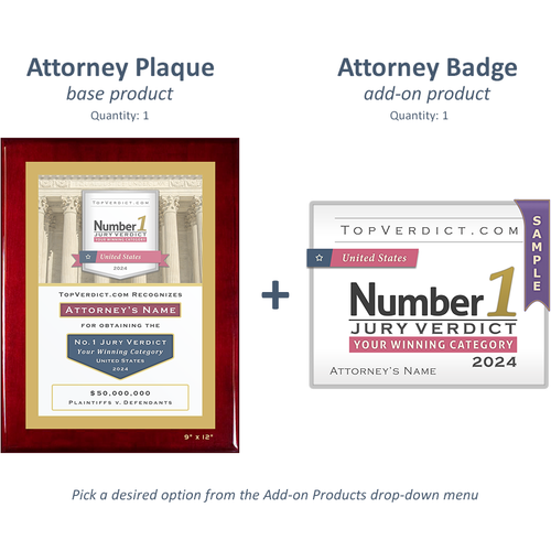 Number 1 Verdicts in the United States in 2024