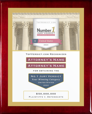 Number 1 Verdicts in the United States in 2024