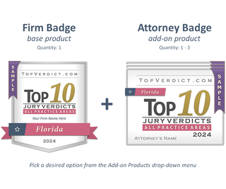Top 10 Verdicts in Florida in 2024