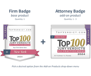 Top 100 Verdicts in New York in 2024
