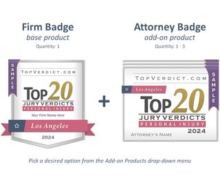 Top 20 Personal Injury Verdicts in Los Angeles in 2024