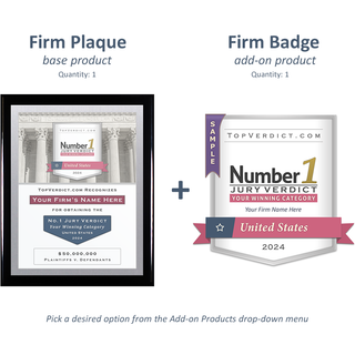 Number 1 Verdicts in the United States in 2024