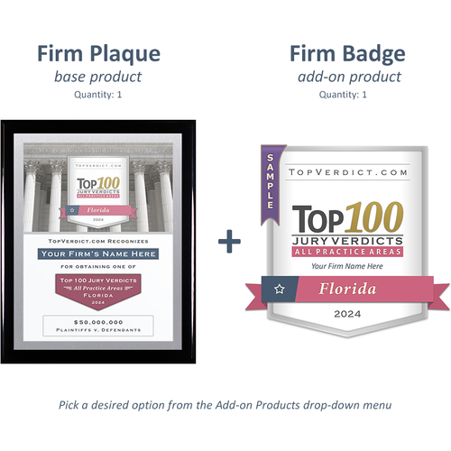 Top 100 Verdicts in Florida in 2024